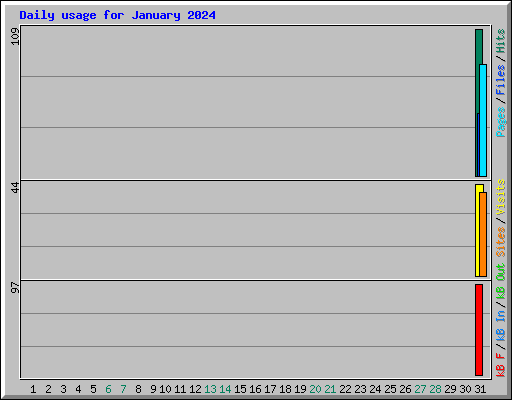 Daily usage for January 2024