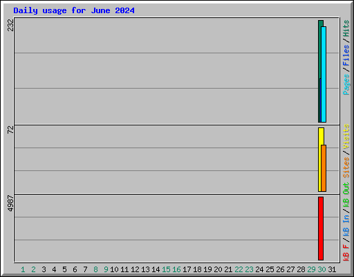 Daily usage for June 2024