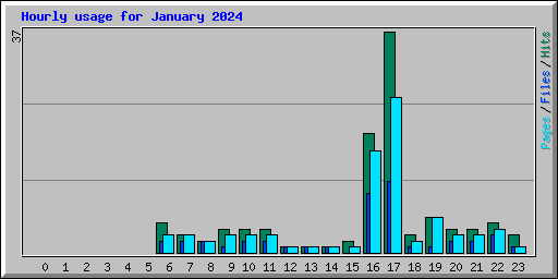 Hourly usage for January 2024