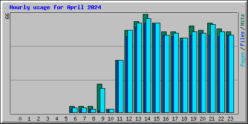 Hourly usage for April 2024