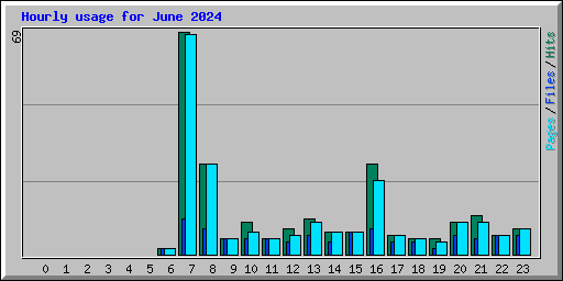 Hourly usage for June 2024